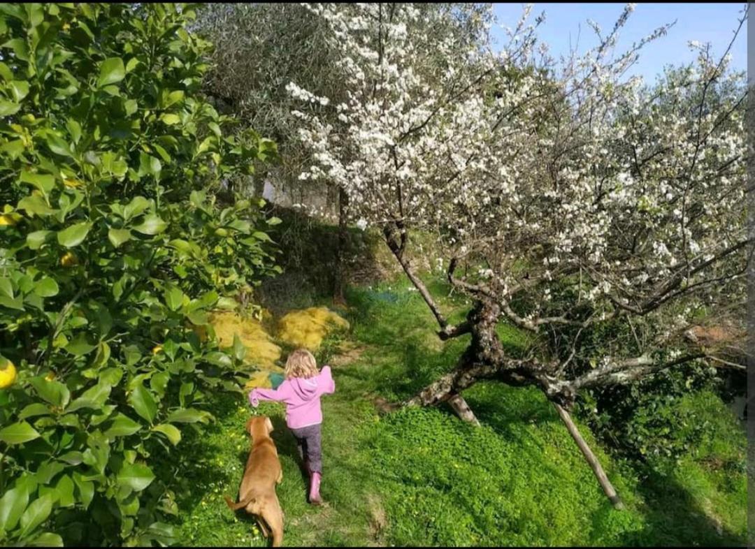 A Casa Di Grea Bed & Breakfast Rapallo Exterior photo